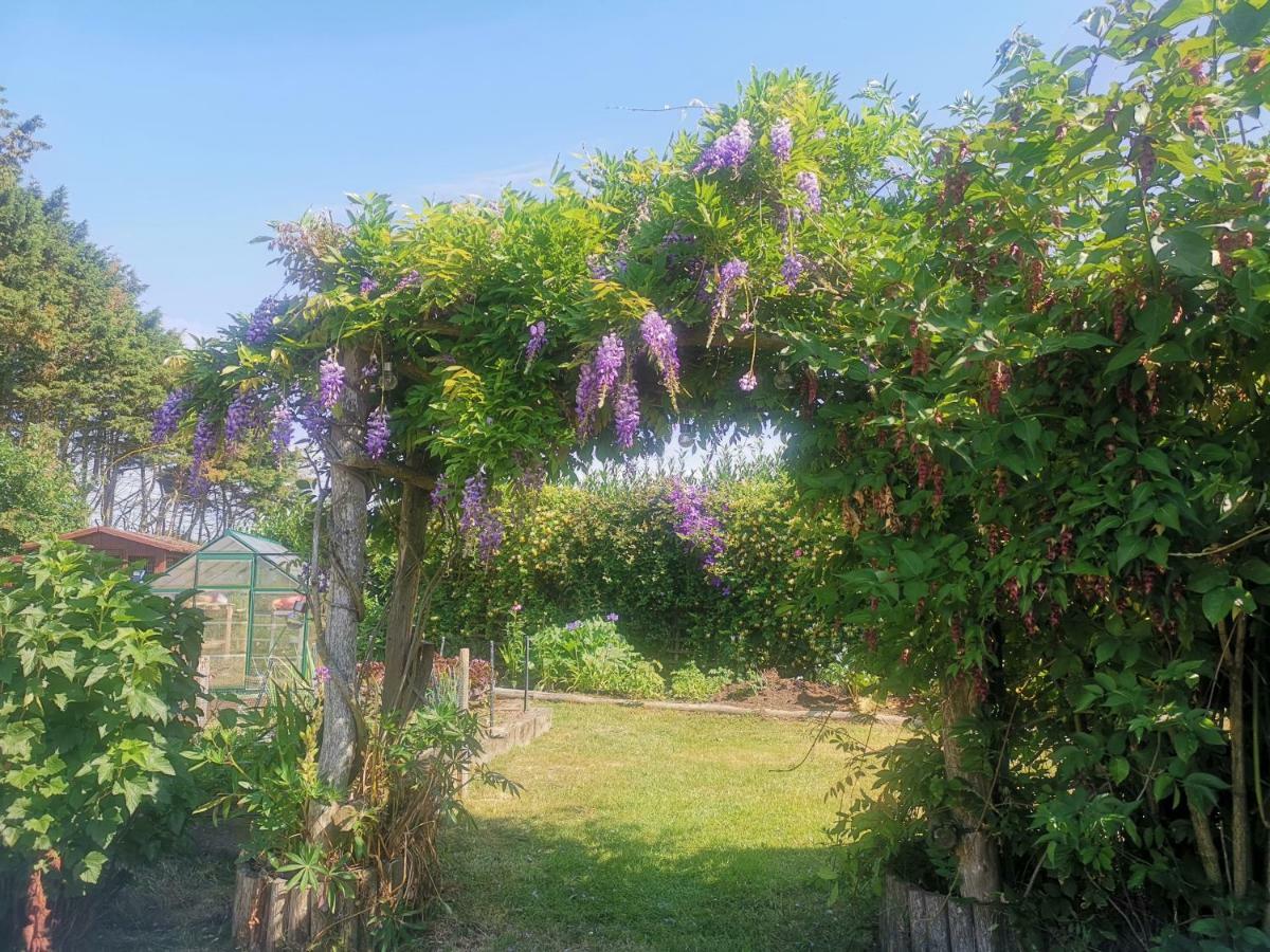 La Loctais Villa Les Portes du Coglais Kültér fotó